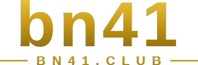 bn41 logo